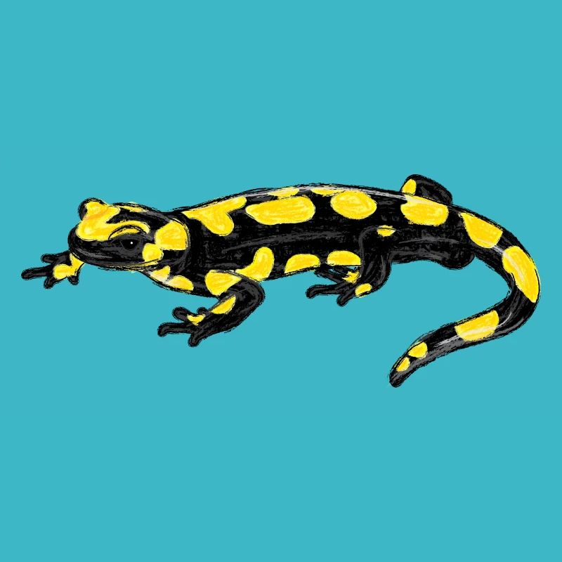 Feuersalamander / Fire Salamander I