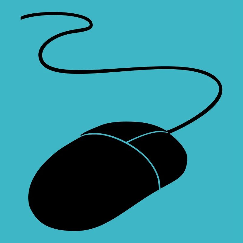 computer mouse