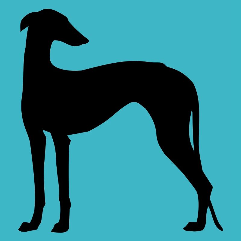 galgohada