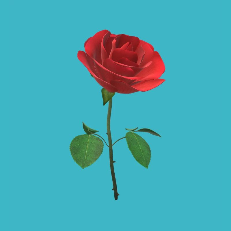La rose 3D