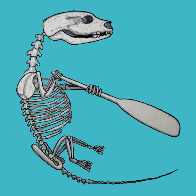 Skeleton Quentin