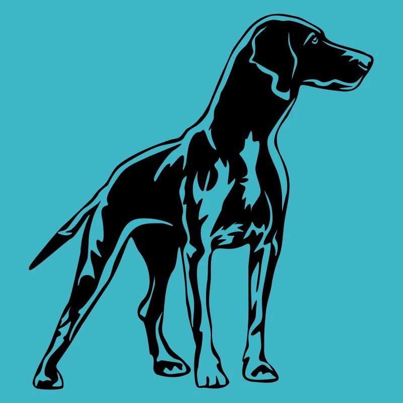 Magyar Vizsla