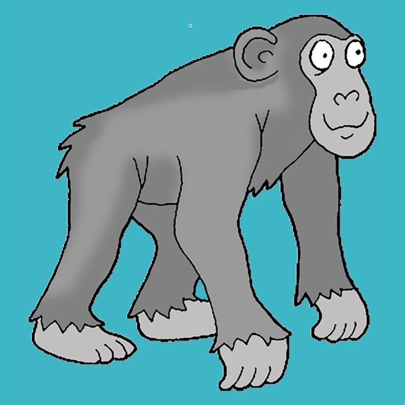 Chimpanse 1