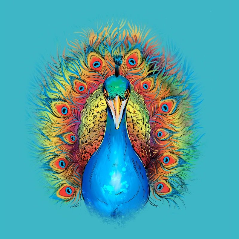 Great Peacocks Bird Complete Bird Cage