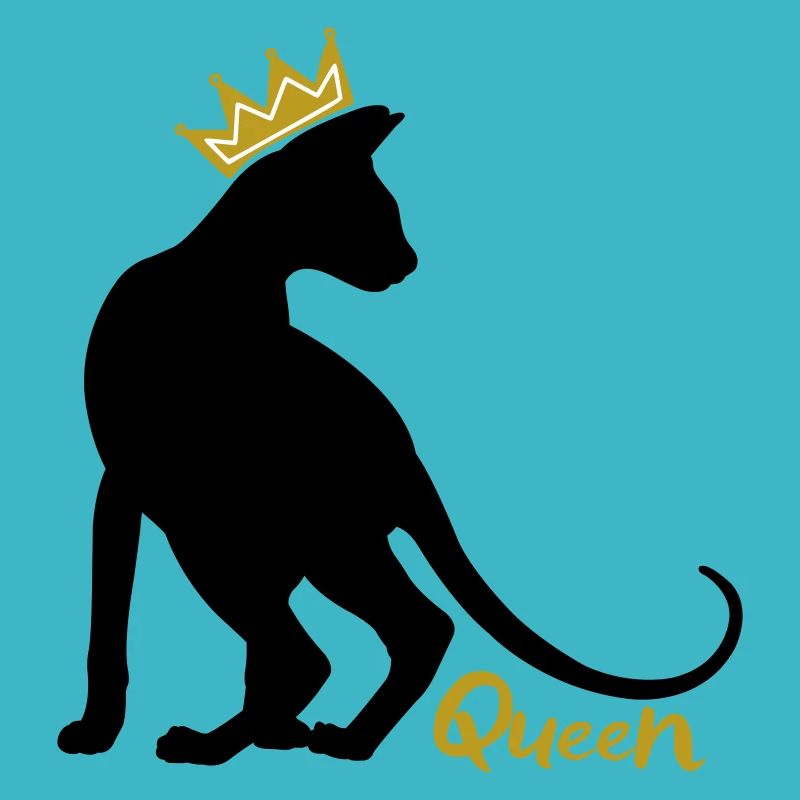 Queen Katze mit Krone: OKH, Peterbald, Sphynx