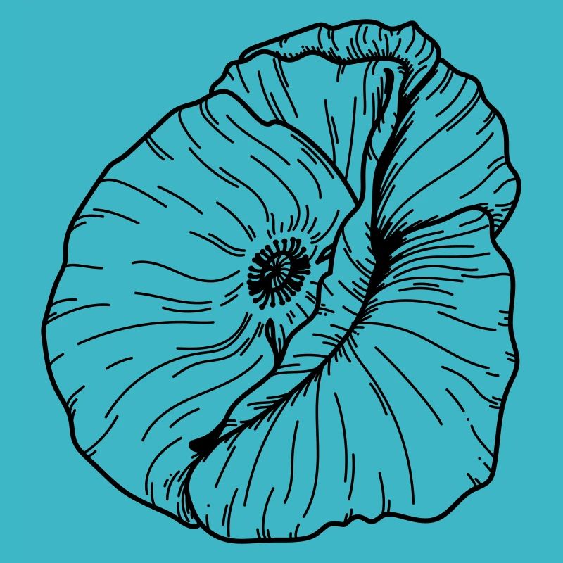 Mohn Blume 20 Zeichenfläche 12