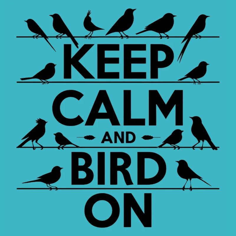 "reste calme et regarde les oiseaux" slogan simple