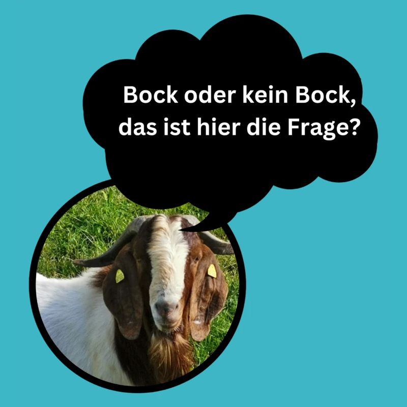 Chemise amusante « Bock oder kein Bock... »