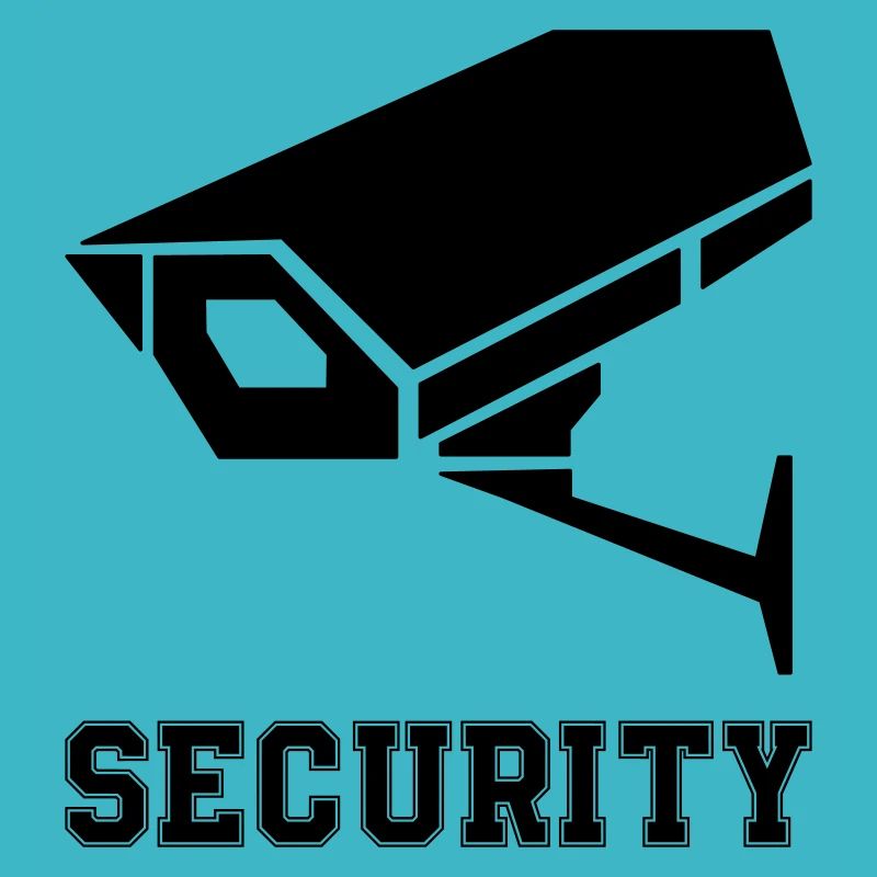 Surveillance camera