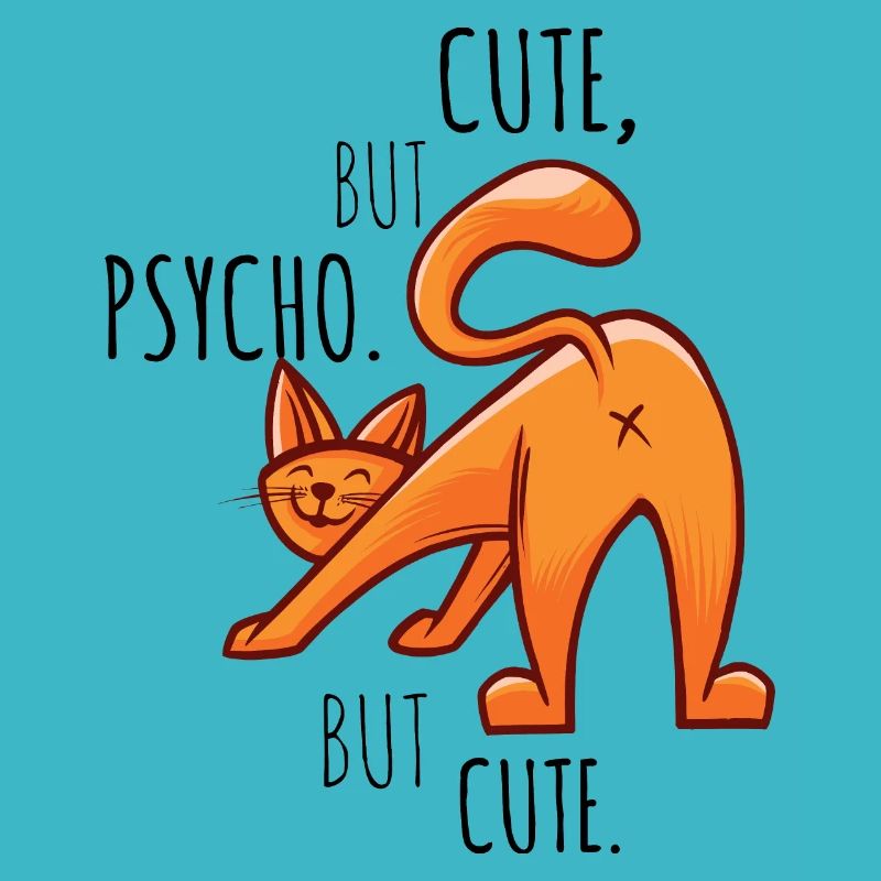 Chat Cadeau Drôle de sort