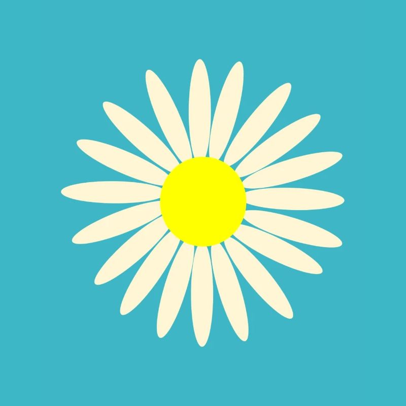 gaensebluemchen
