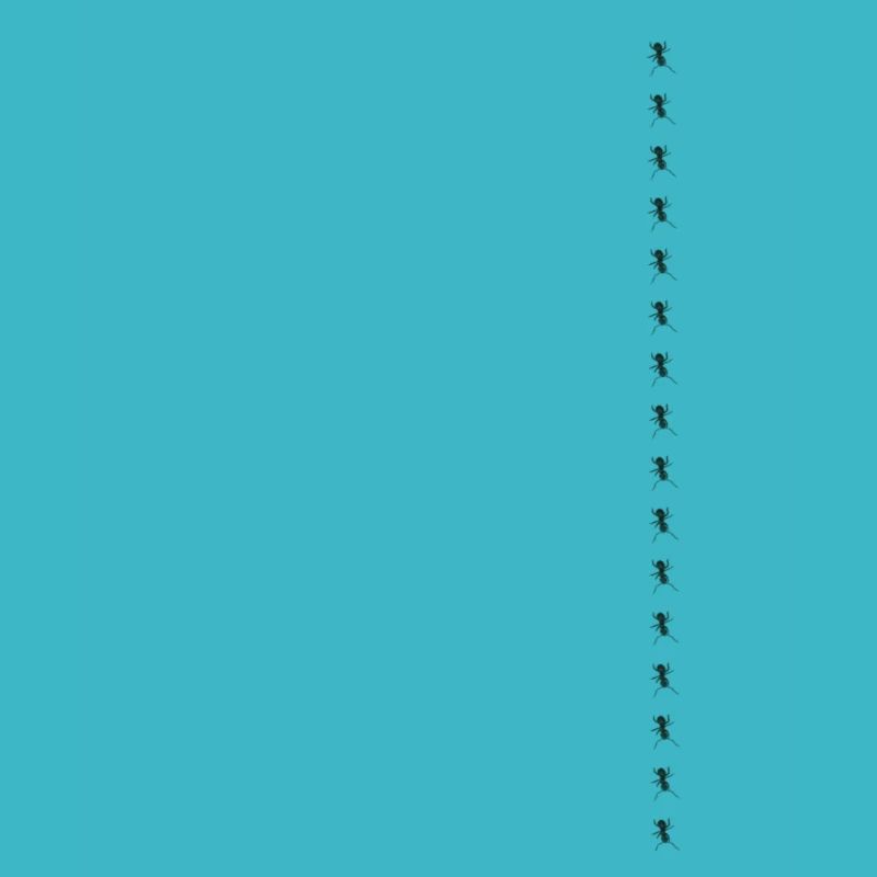 Fourmi minimalisme conception simple fourmi