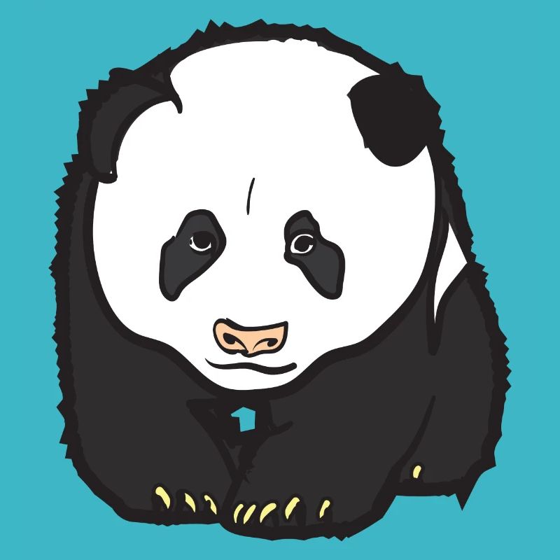Panda bear
