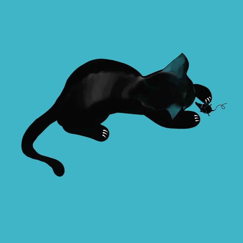 chat