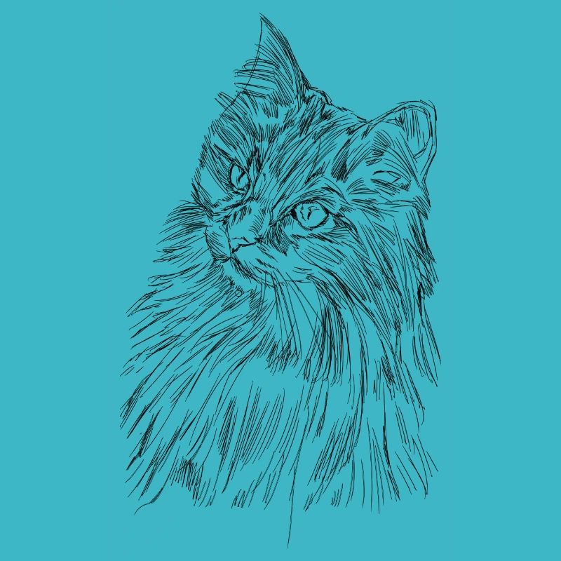 Süßes Katzengesicht