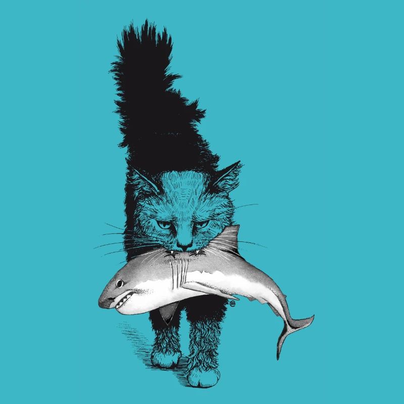 Shark-Cat