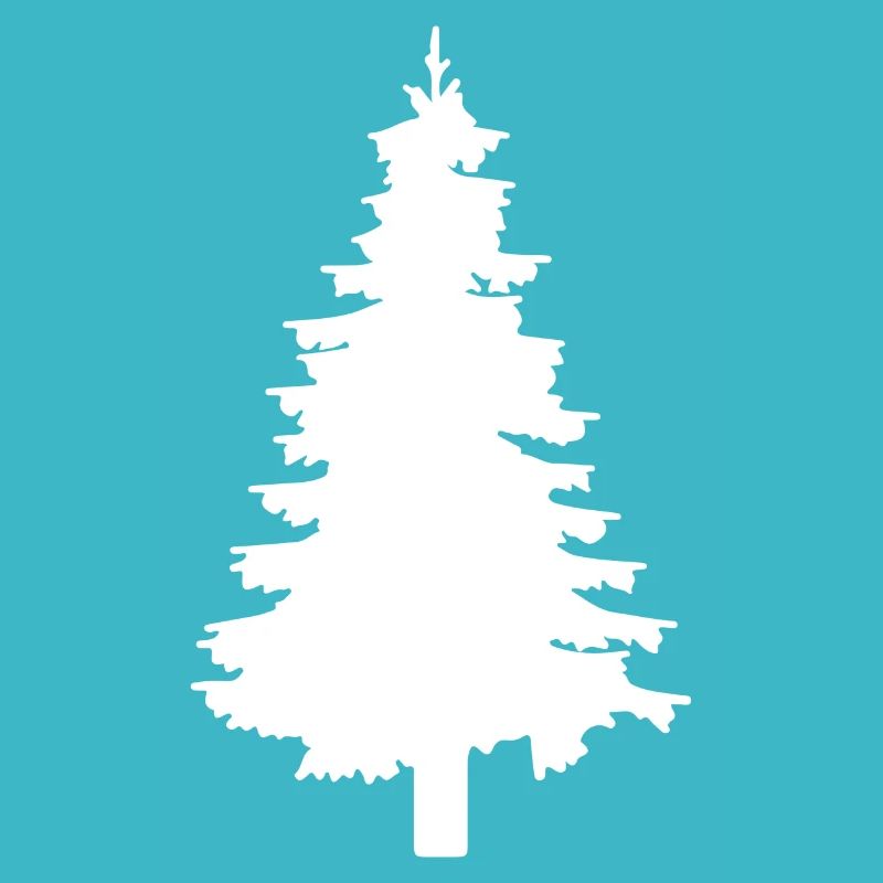 Sapin