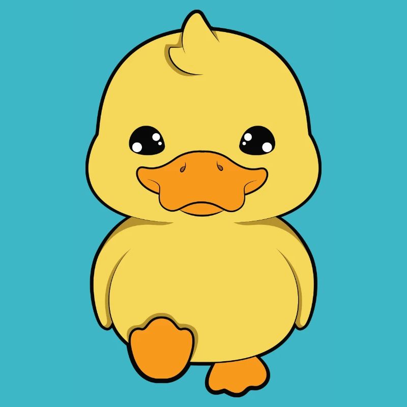 Canard canard