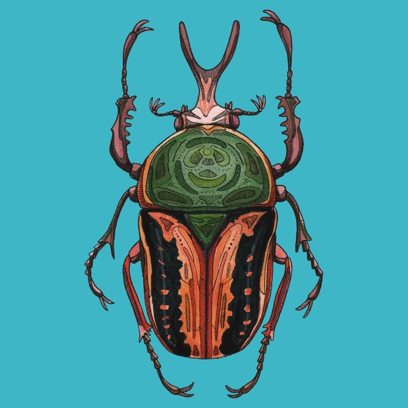 Big Beetle Stag - cerf géant