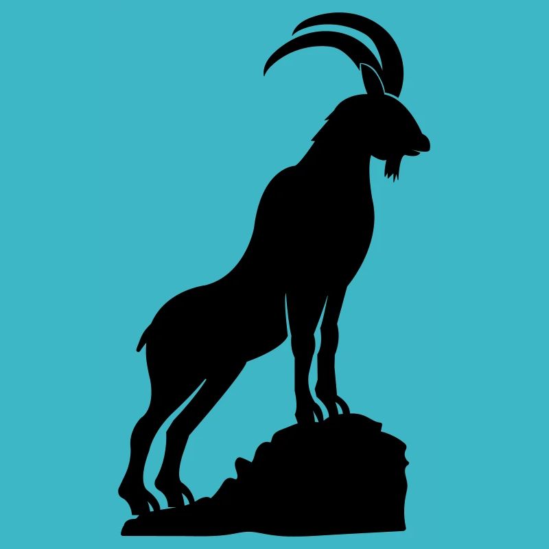 steinbock 2