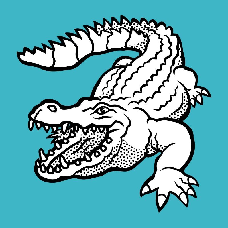 kroko 79