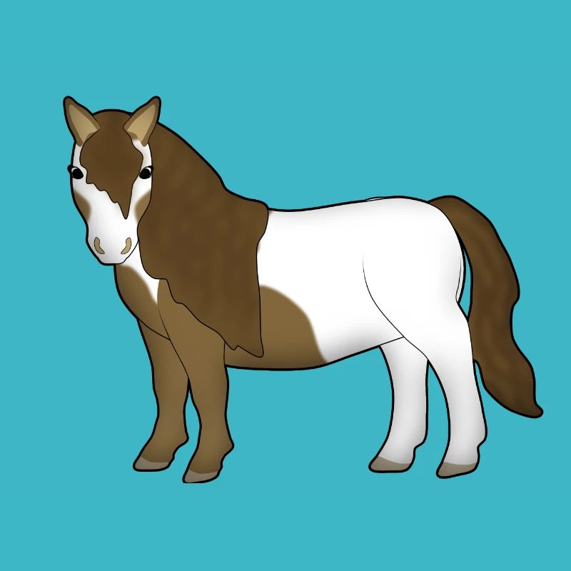 Shetland Pony 2