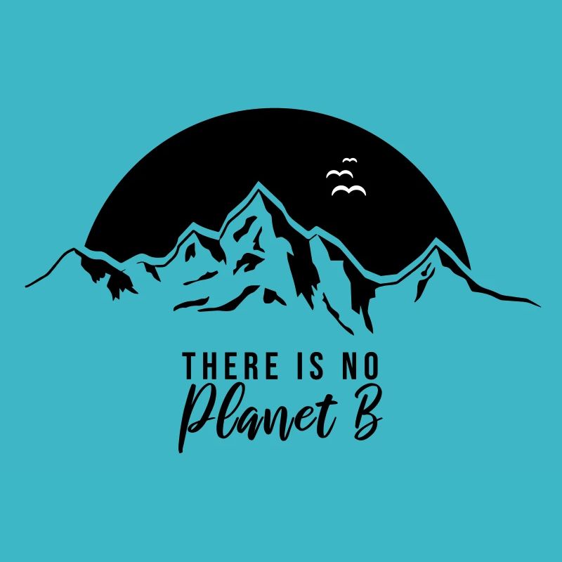 il n'y a pas de planète b