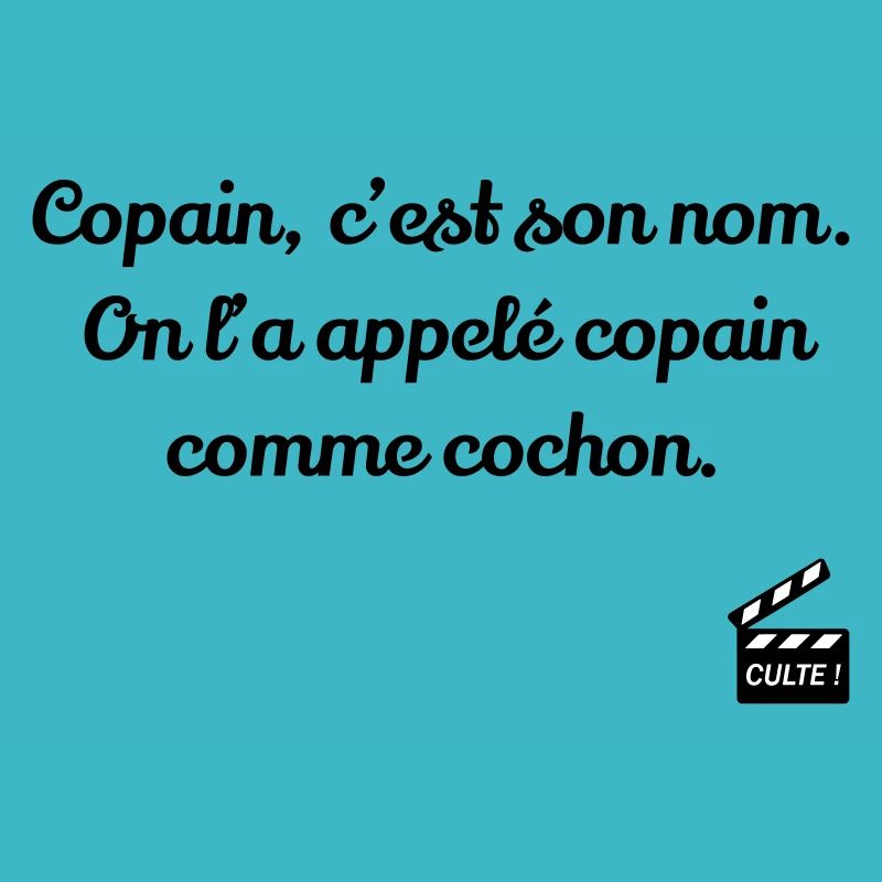 Copain comme cochon ! Les Bronzés font du ski