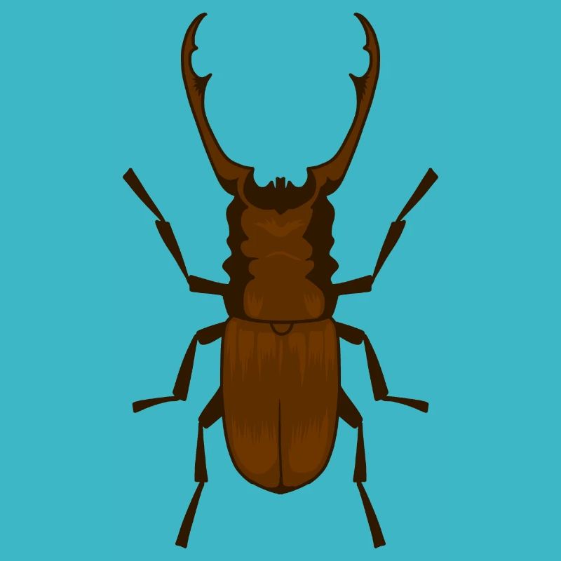 Hirschkäfer Lucanus cervus Schröter Insekt