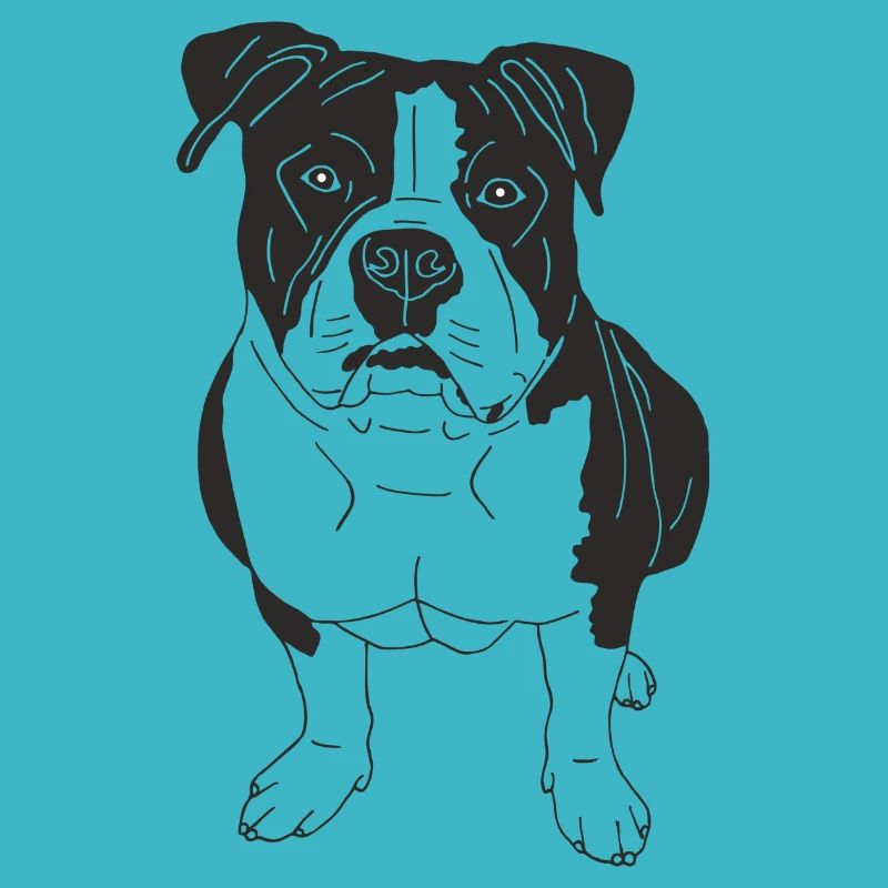 American Bully XL