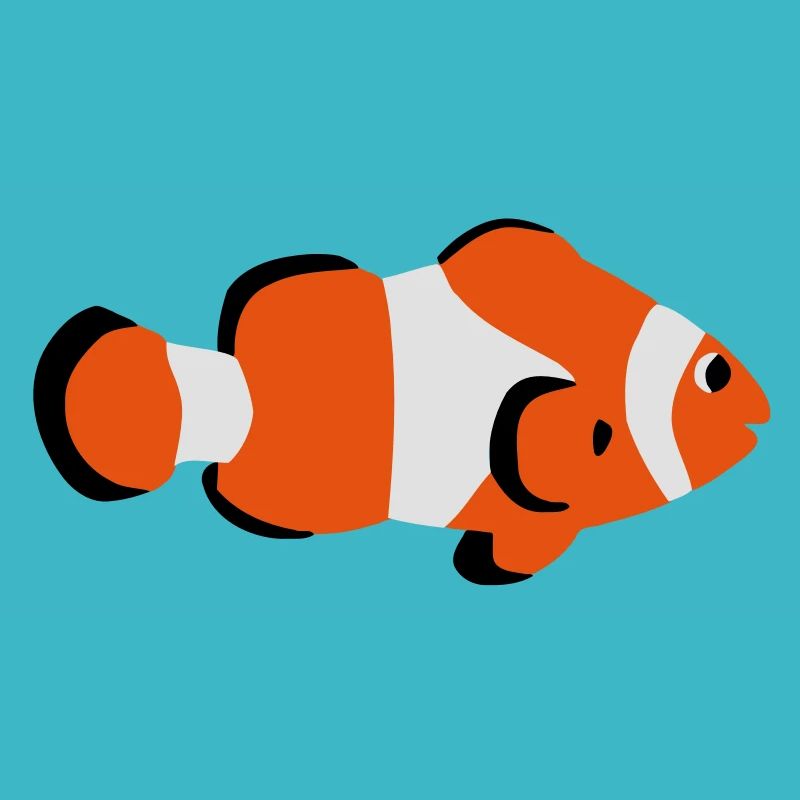 Clown fish