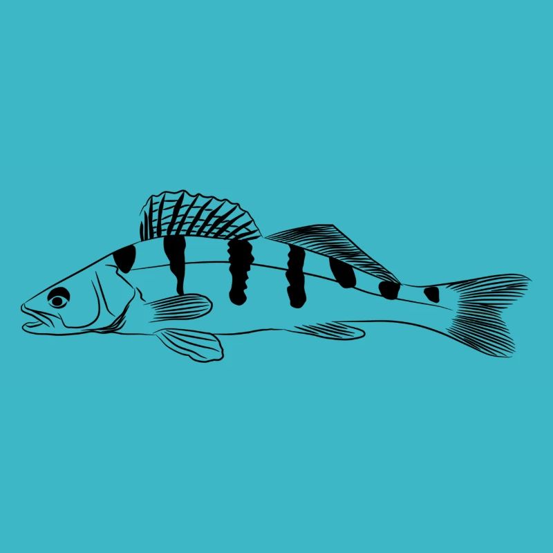 Zander