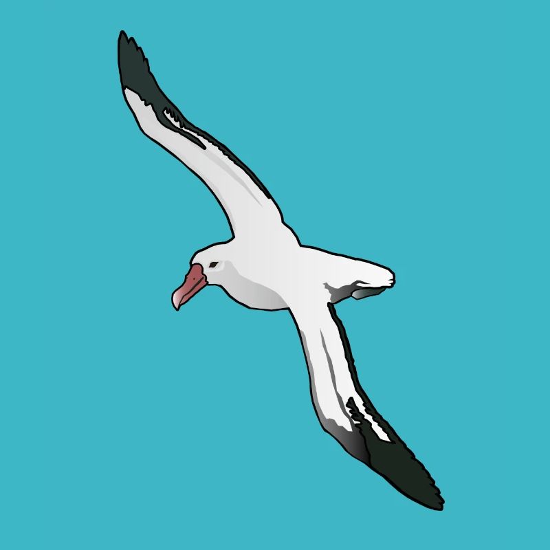 Albatros