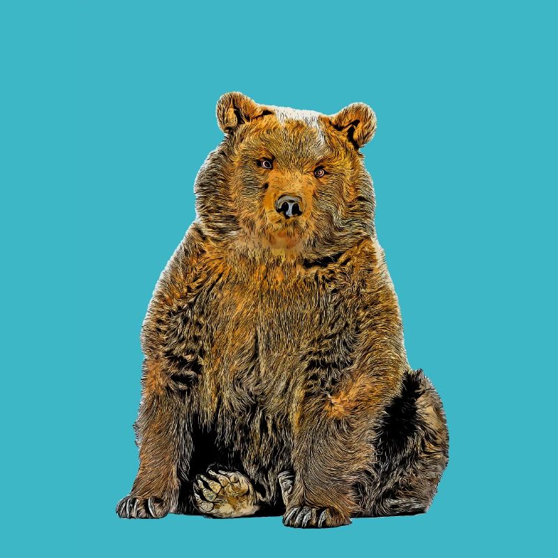 Cartoon Bär