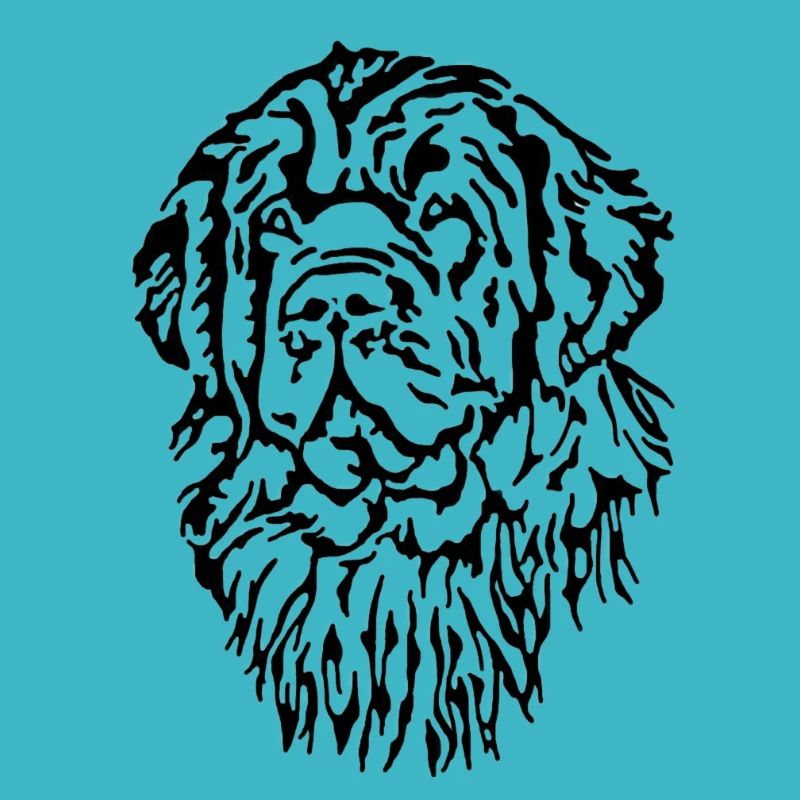 Newfoundland head