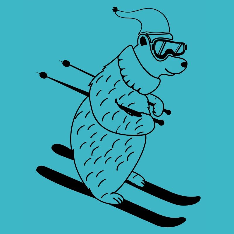 ski baer 01