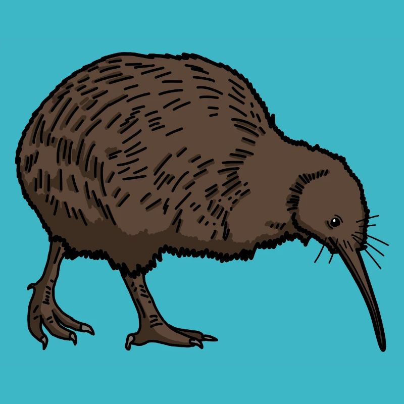 Kiwi Vogel