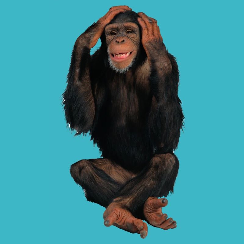 singe