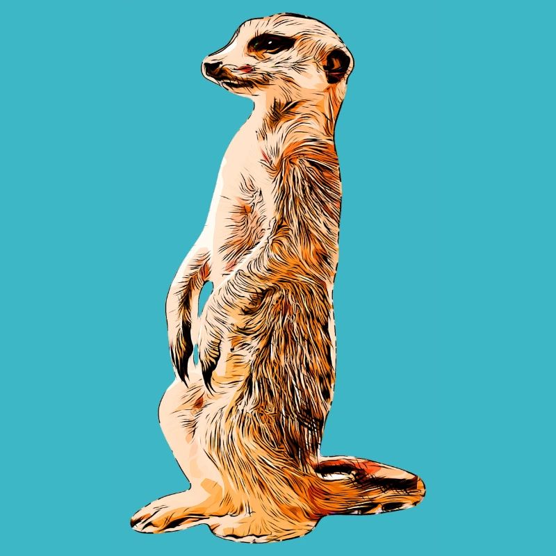 Erdmännchen