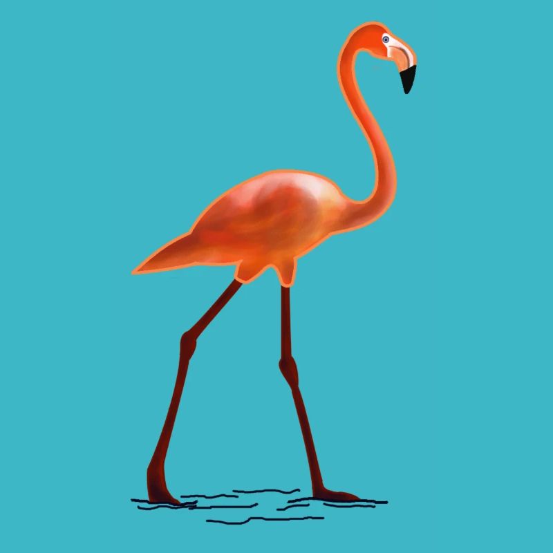 Flamingo