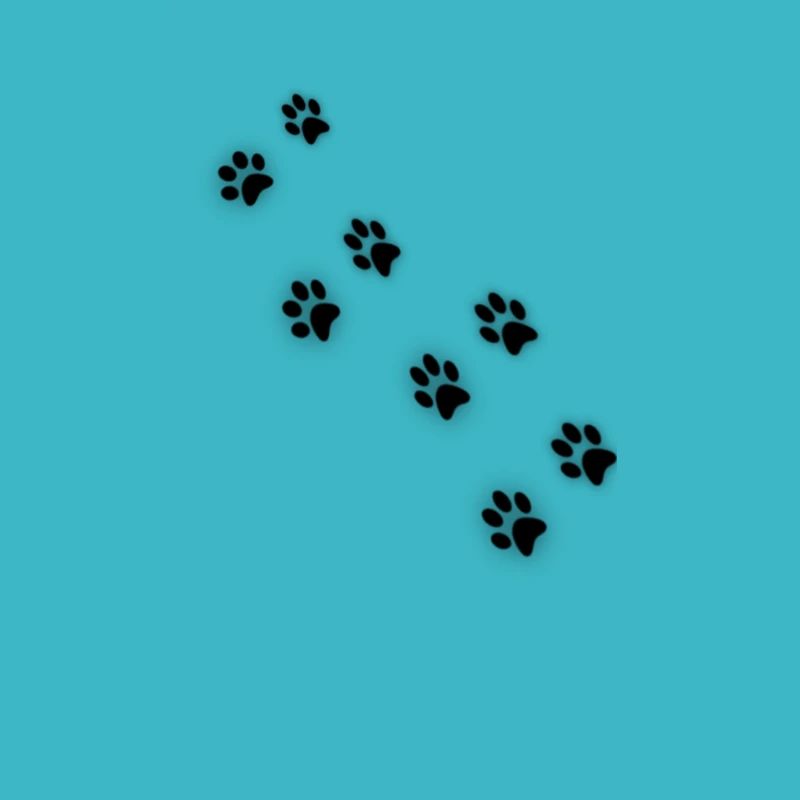 Patte de chat II