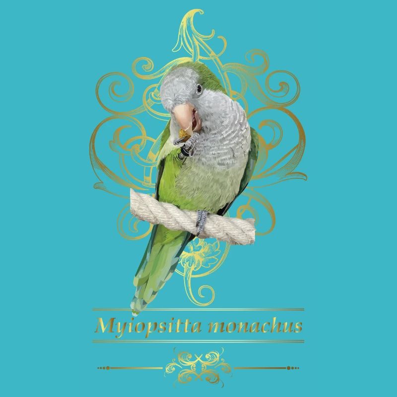 Perruche d’Argentine