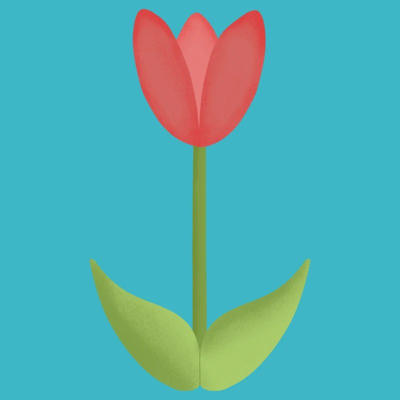 red tulip