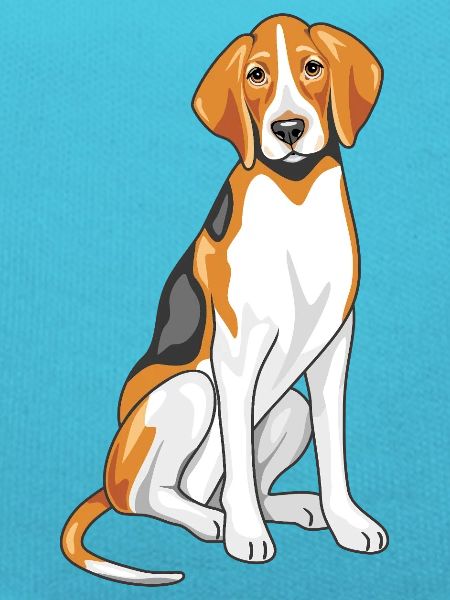 Sitting foxhound