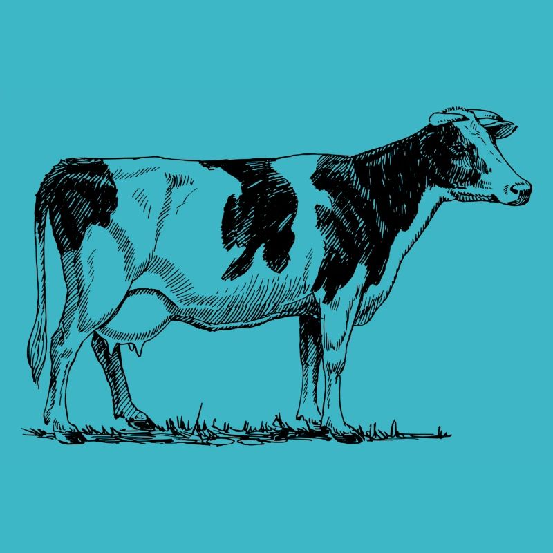Madam Cow