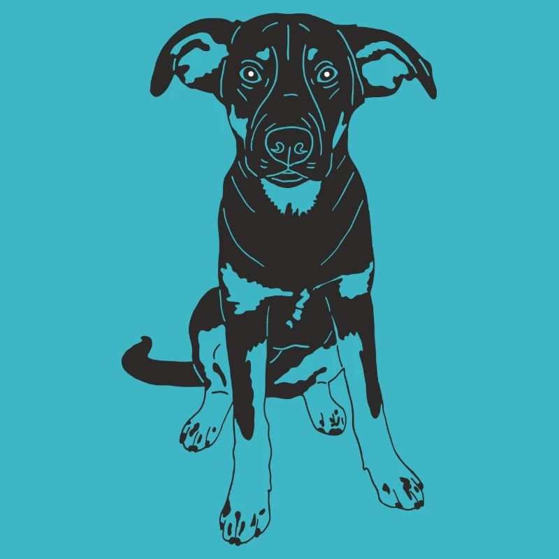 Malinois Mix
