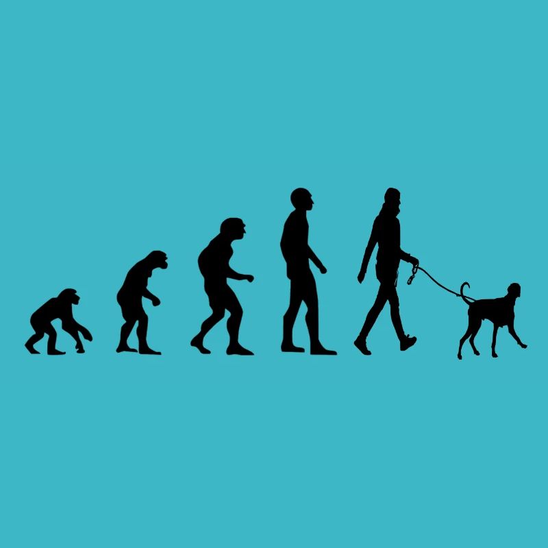 Évolution du chien propriétaire de chien