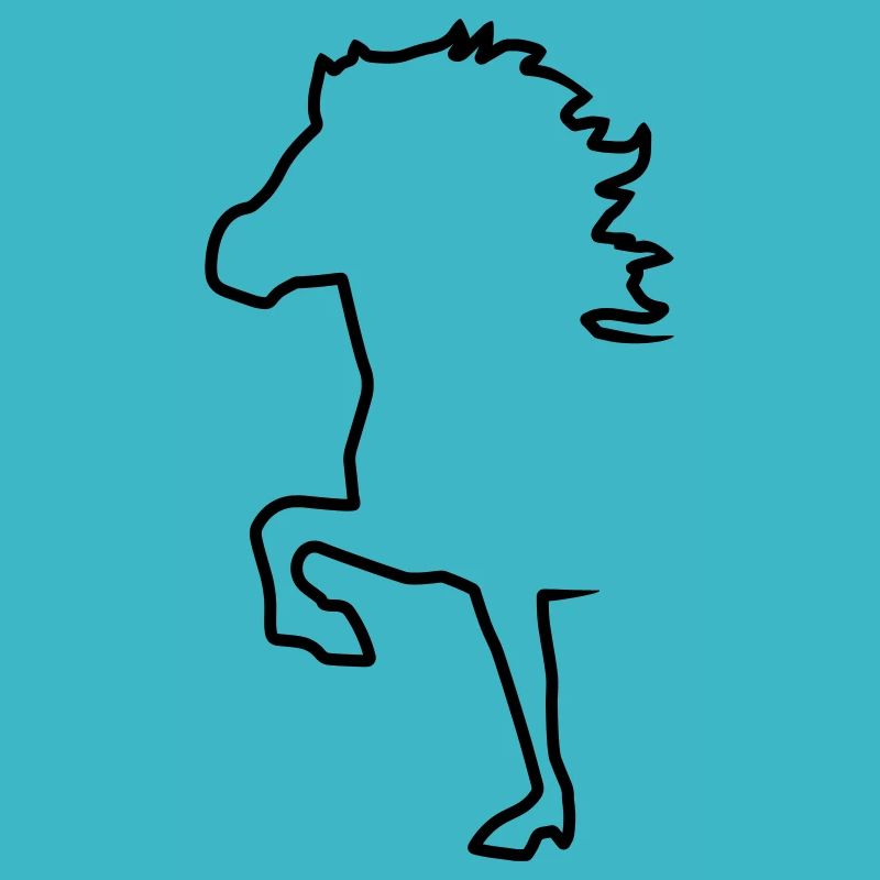Islandpferd