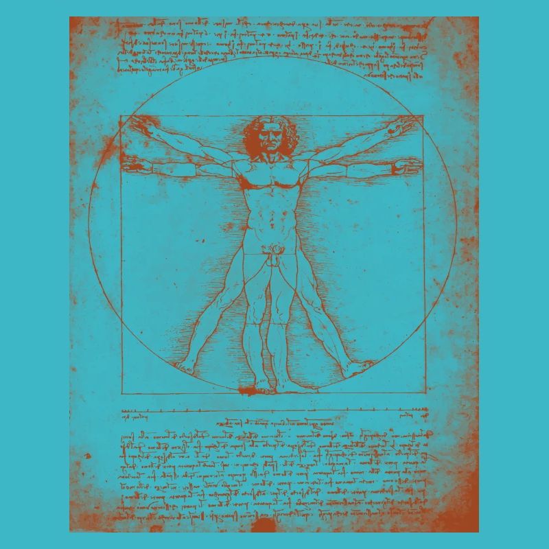 Leonardo DaVinci vitruvian Man Print