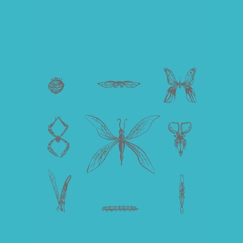insects